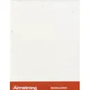 Подвесной потолок армстронг BIOGUARD Plain Board (БИОГУАРД ПЛЕЙН Борд) 600x600x15 BP 2221 M4